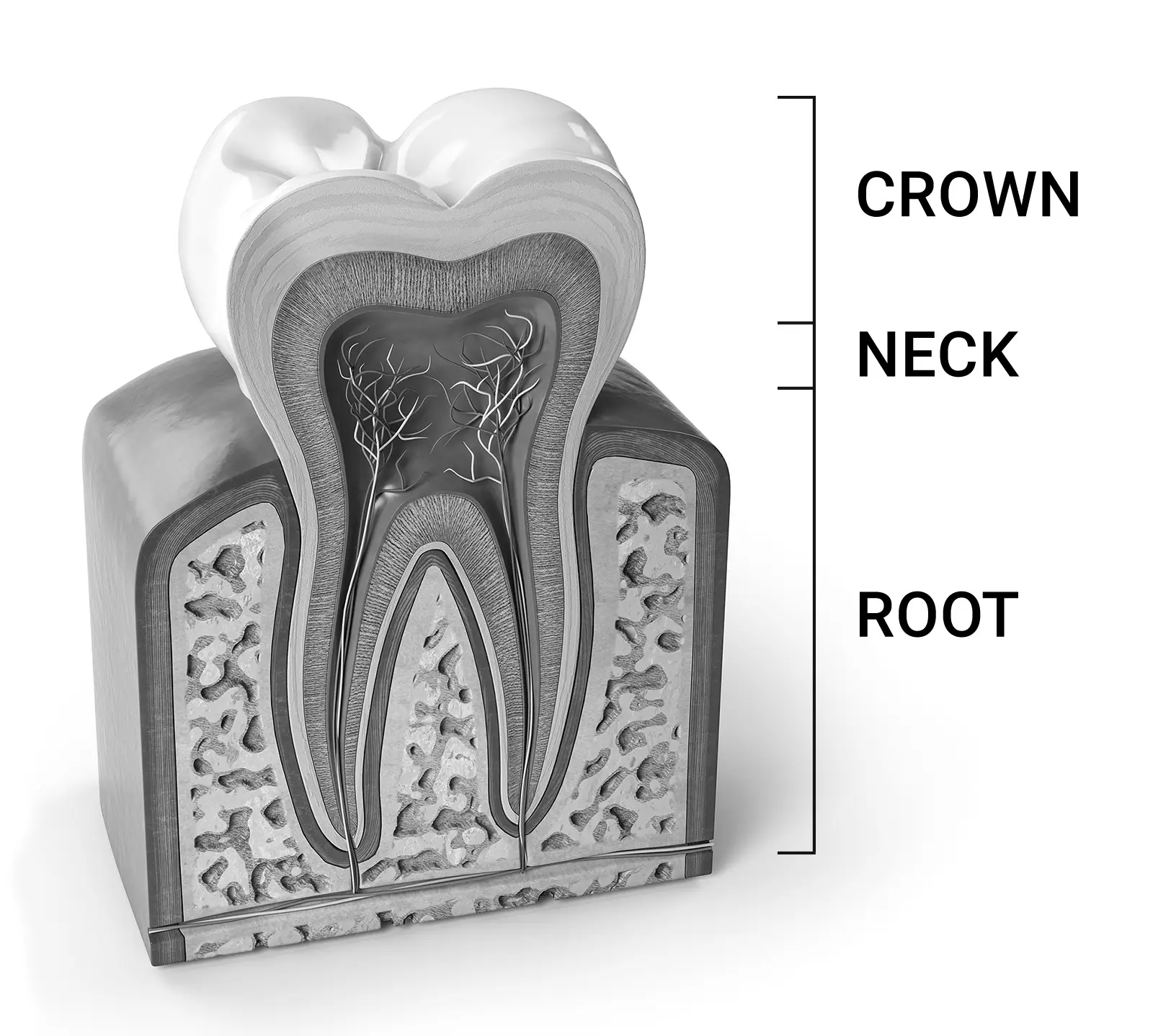 Root Canal Treatment Driffield